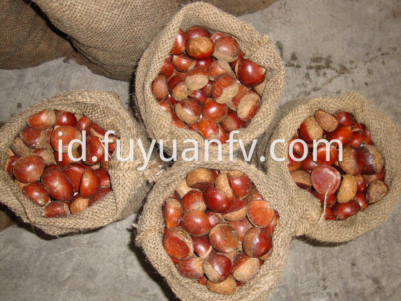 chestnut packed in jute bags